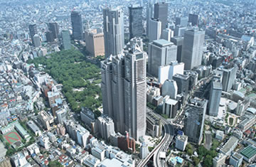 事業内容
